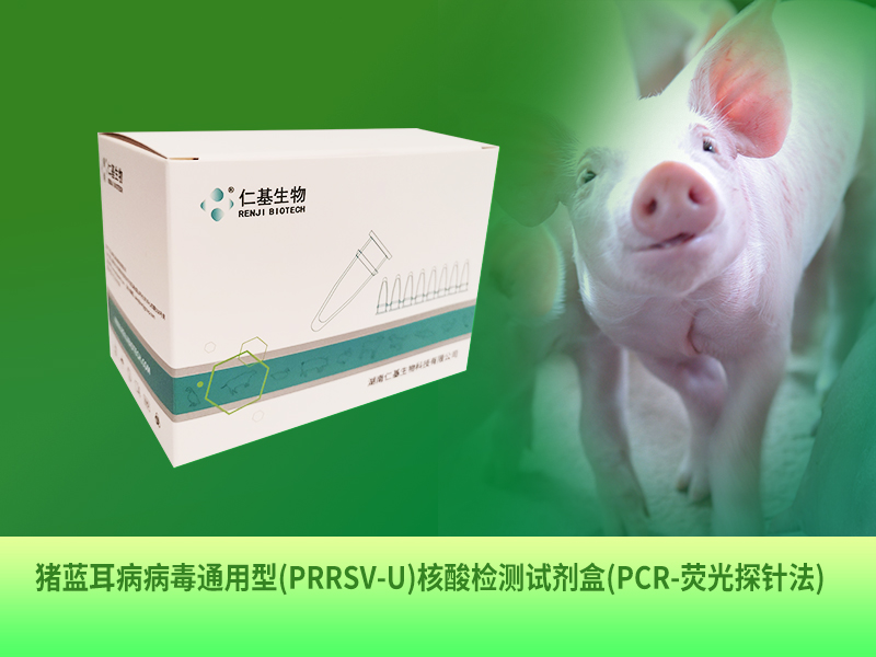 ZB-R-003 猪蓝耳病病毒通用型