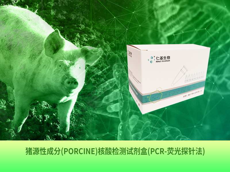 DWYX-D-001 猪源性成分(Porcine)