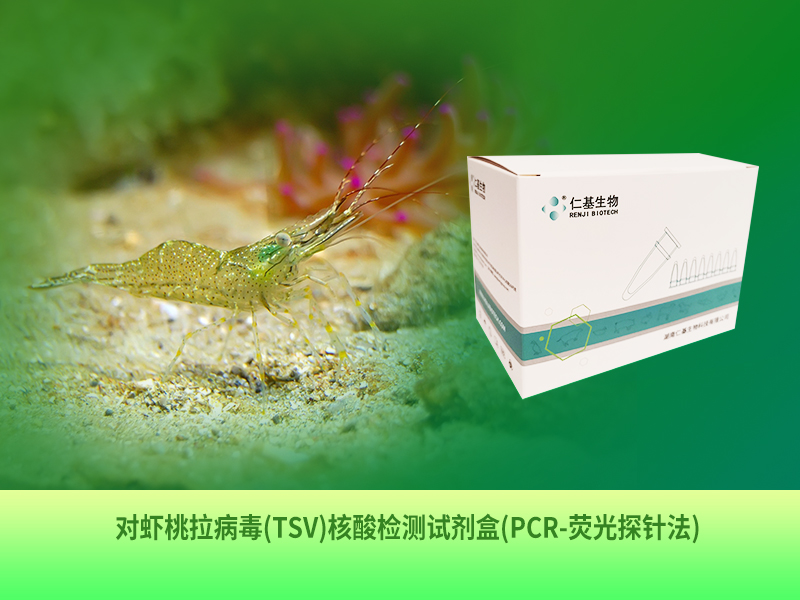 SC-R-002 对虾桃拉病毒(TSV)