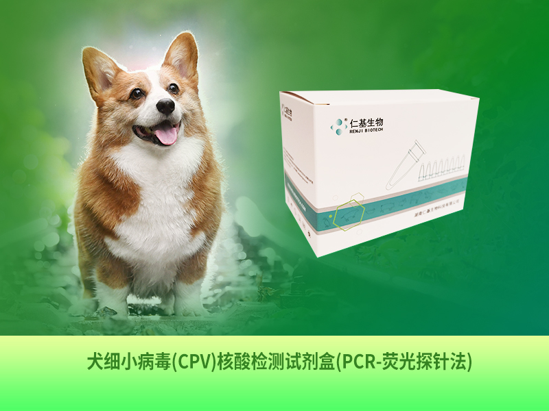 CW-D-002 犬细小病毒(CPV)