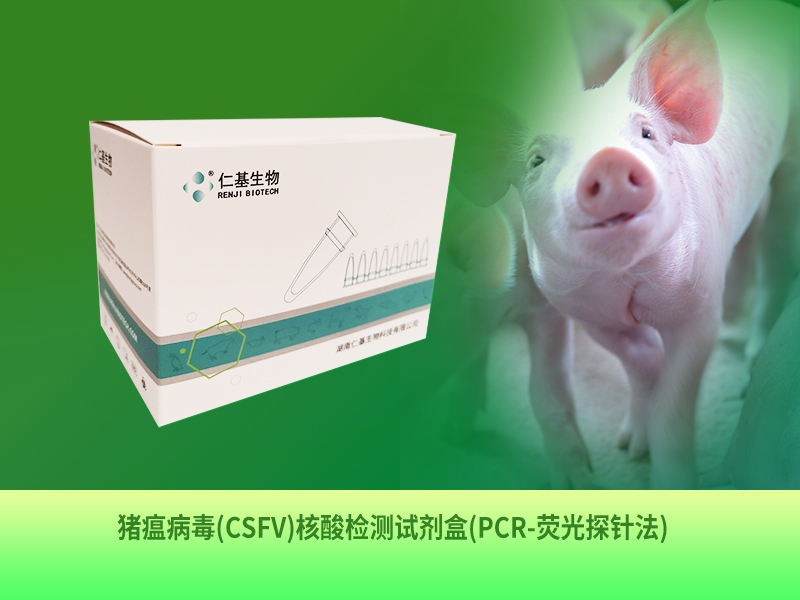 ZB-R-001 猪瘟病毒(CSFV)